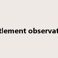 settlement observation是什么意思