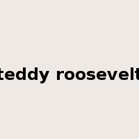 teddy roosevelt是什么意思