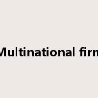 Multinational firm是什么意思