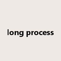 long process是什么意思