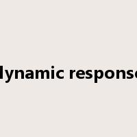 dynamic response是什么意思