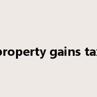 property gains tax是什么意思