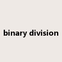 binary division是什么意思