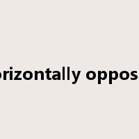 horizontally opposed是什么意思