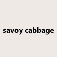 savoy cabbage是什么意思