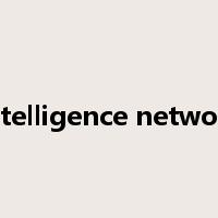 intelligence network是什么意思