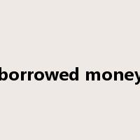 borrowed money是什么意思