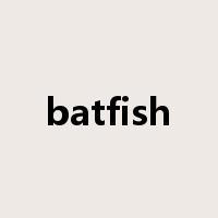 batfish是什么意思