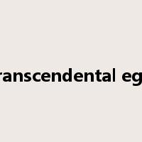 transcendental ego是什么意思