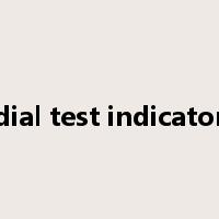 dial test indicator是什么意思