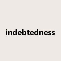 indebtedness是什么意思