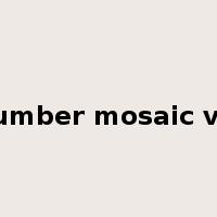 cucumber mosaic virus是什么意思