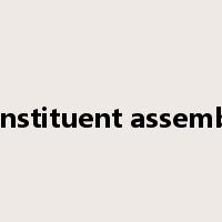 constituent assembly是什么意思