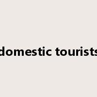 domestic tourists是什么意思