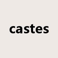 castes是什么意思