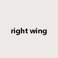 right wing是什么意思