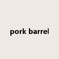 pork barrel是什么意思