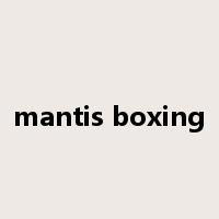 mantis boxing是什么意思