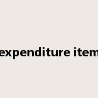 expenditure item是什么意思