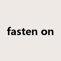 fasten on是什么意思