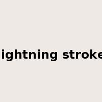 lightning stroke是什么意思