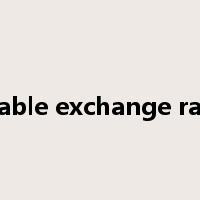 stable exchange rate是什么意思