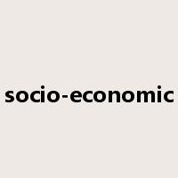 socio-economic是什么意思