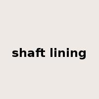 shaft lining是什么意思