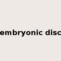 embryonic disc是什么意思