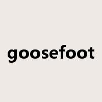 goosefoot是什么意思