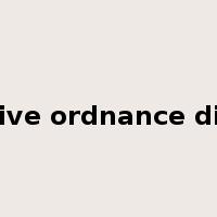 explosive ordnance disposal是什么意思