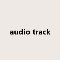 audio track是什么意思