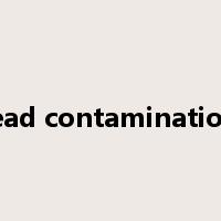 lead contamination是什么意思