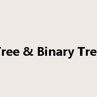 Tree & Binary Tree是什么意思