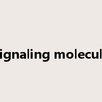 Signaling molecule是什么意思