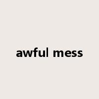 awful mess是什么意思