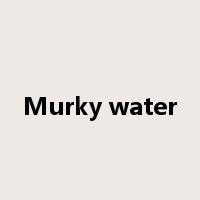 Murky water是什么意思