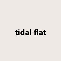 tidal flat是什么意思