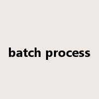 batch process是什么意思