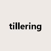 tillering是什么意思
