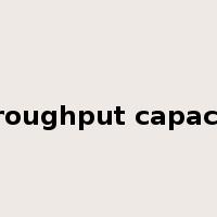 throughput capacity是什么意思