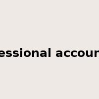 professional accountant是什么意思