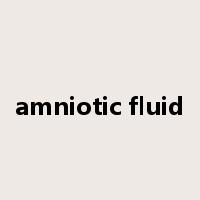 amniotic fluid是什么意思