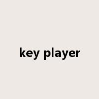 key player是什么意思
