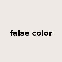 false color是什么意思