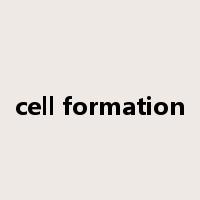 cell formation是什么意思