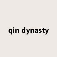 qin dynasty是什么意思