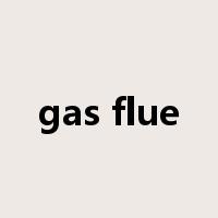 gas flue是什么意思