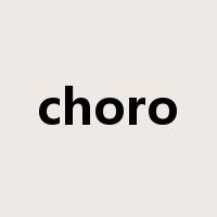 choro是什么意思