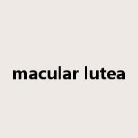 macular lutea是什么意思